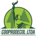 Inicio adobe express file (8)